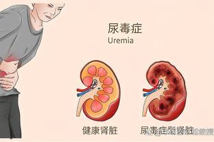 半岛手机客户端官网首页下载安装